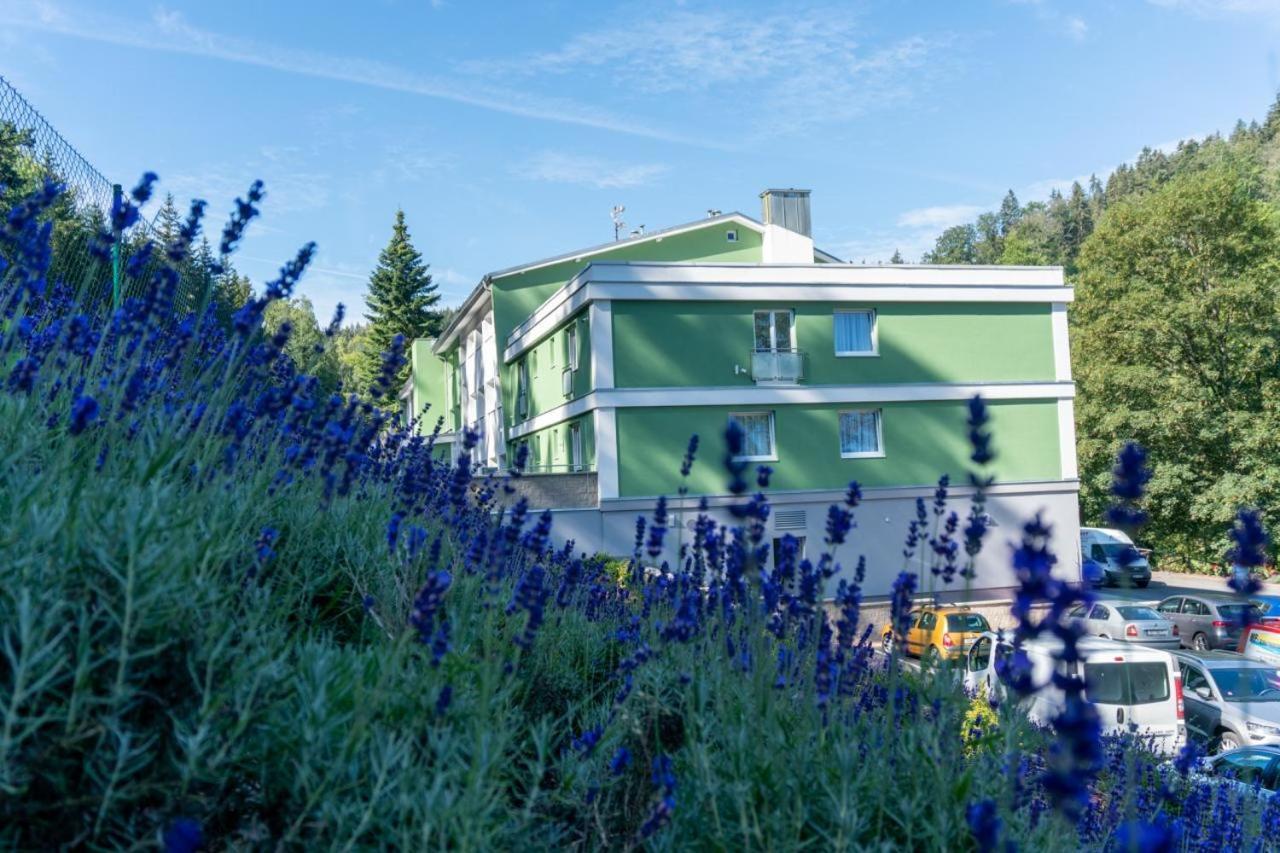 Wellness Hotel Green Paradise Pirkenhammer Εξωτερικό φωτογραφία